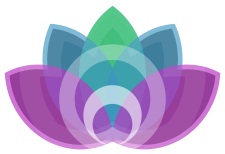 logo-django-draaisma-coaching